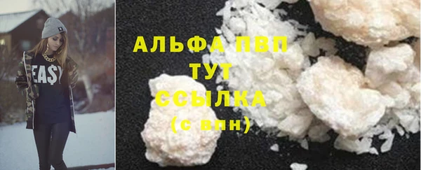 гидра Михайловка