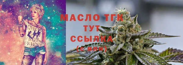 гидра Михайловка
