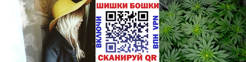 закладки  hydra ссылки  Бошки Шишки тримм  Новосокольники 